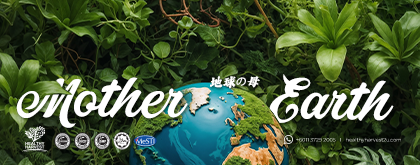 m_banner