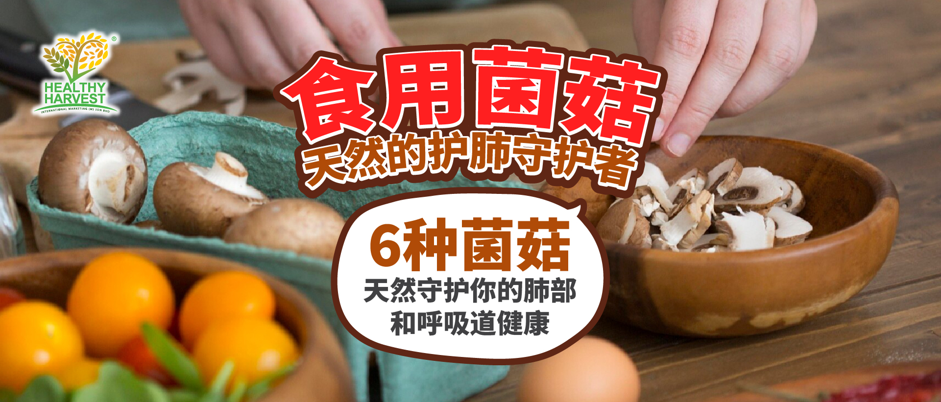 菇类对呼吸道的健康益处